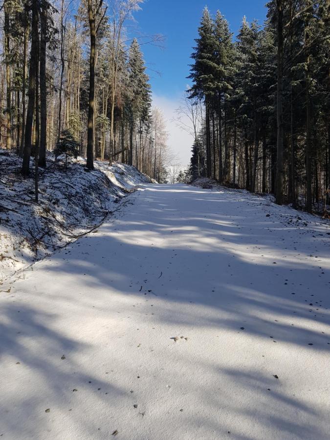 Gniewnik Villa Pcim Kültér fotó