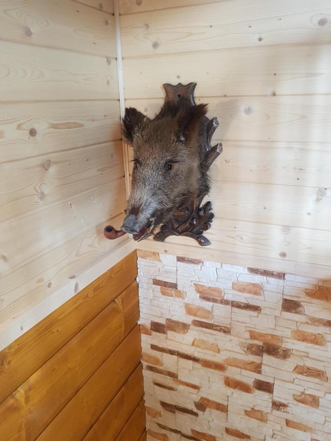 Gniewnik Villa Pcim Kültér fotó