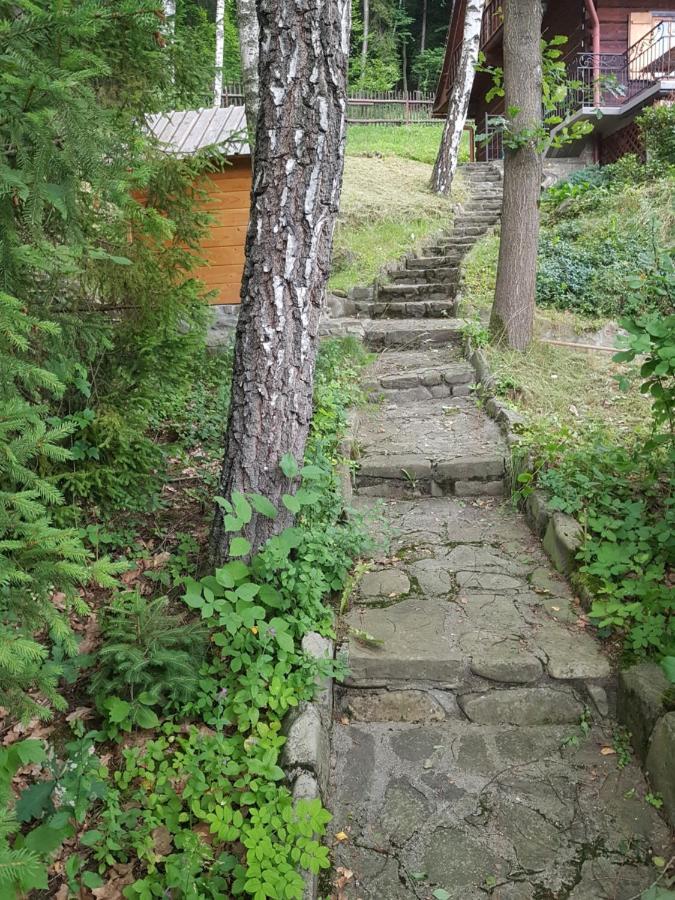 Gniewnik Villa Pcim Kültér fotó